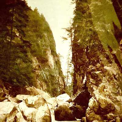 The Salmon Leap: Capilano Canyon, North Vancouver, B.C.