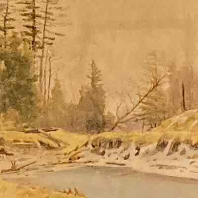 Stream in the Woods