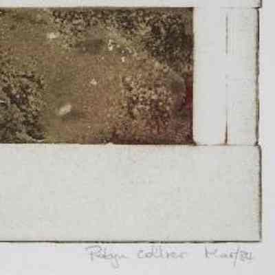 Detail LR - Mirage, Mar 1984. Etching on paper A/P by Robyn Collier