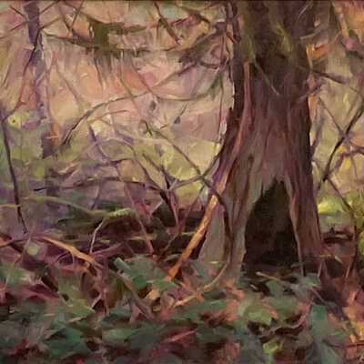 Enchanted Forest