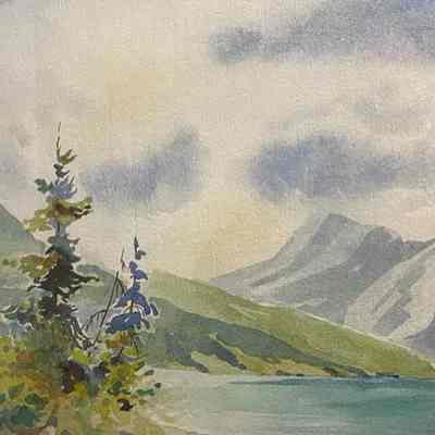 Coastal Island Mountain View