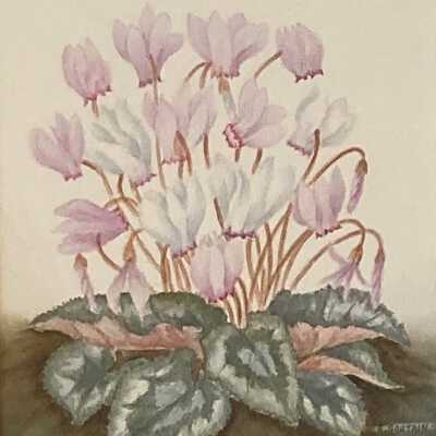 Autumn's Yield (Cyclamen neapolitanum)