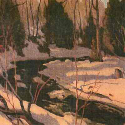 Forest Stream in Winter
