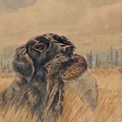 Black Lab with Pheasant