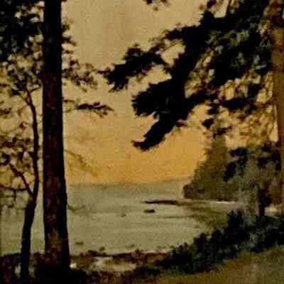 Looking Across the Bay, Stanley Park, Vancouver, B.C.