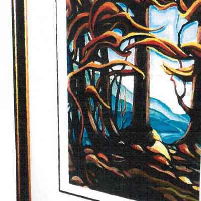 Arbutus Patterns