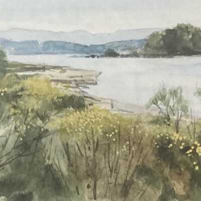 Gulf Island View