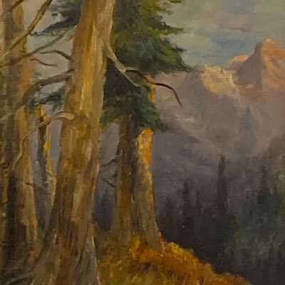 Forest View to Mountains