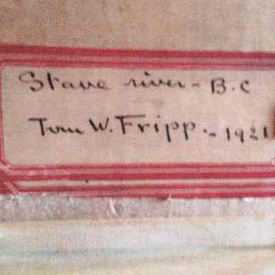 Verso frame, label