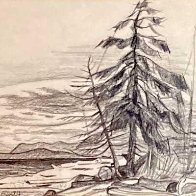 Saratoga Beach V. I Series [Tree]