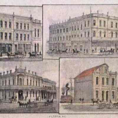 Turner, Beeton & Co…Victoria, B.C. An illustration from “The West Shore” V. 10, Sept. 1884