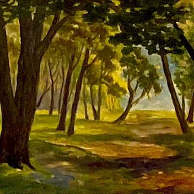 Forest Glade