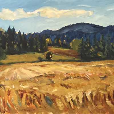 Woodwynn Farm, or Saanich for Me