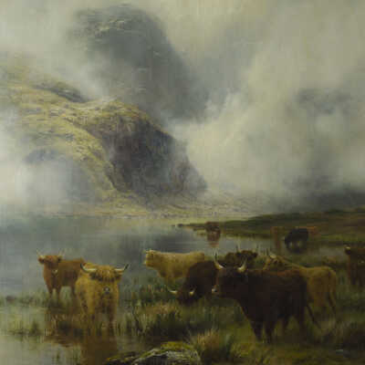 Highland Cattle