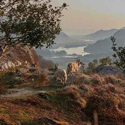 Killarney National Park, n.d.: See Web Links