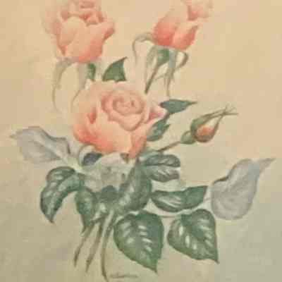 Rose Verona (Princess Verona)