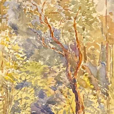 Park Pathway, or Arbutus Tree Landscape III