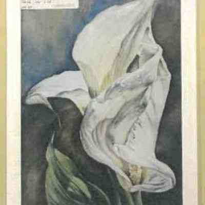 Calla Lilies
