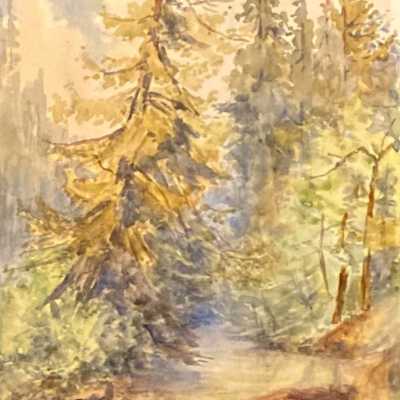 Goldstream Park July 4, or Arbutus Tree Landscape I