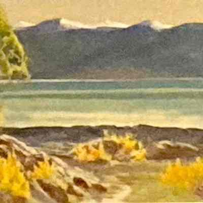 Coastal Vista