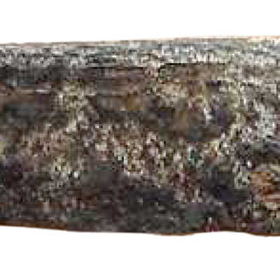 Whittle tang blade