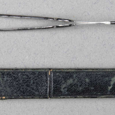 Surgical forceps in case