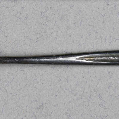 Surgical director
