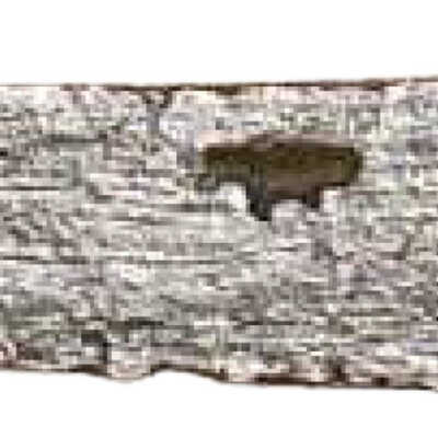 Blade/Part Blade