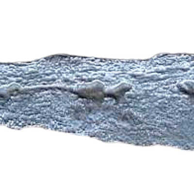 Whittle tang blade
