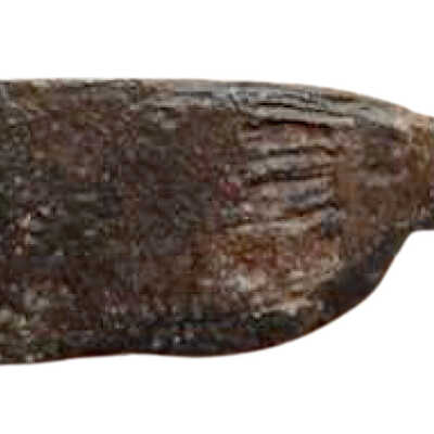 Whittle tang blade