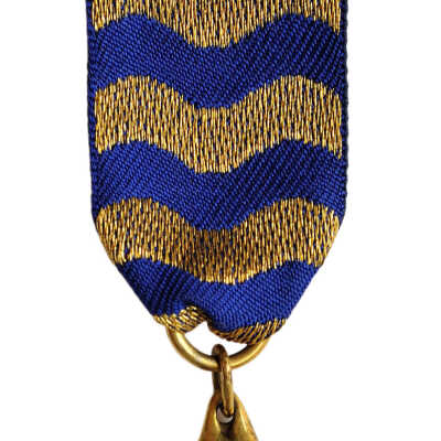 Water Conservators Livery Medal