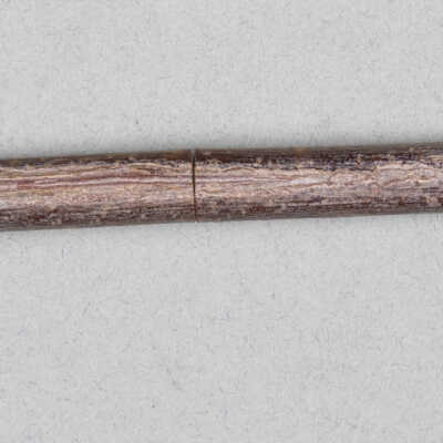 Rod