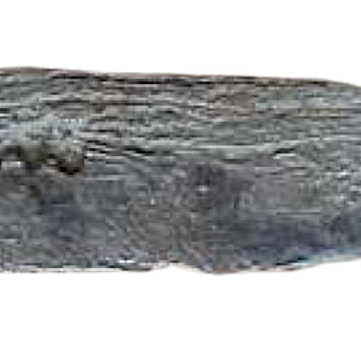 Whittle tang blade