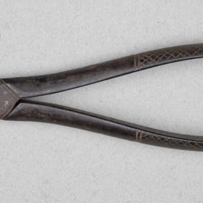 Surgical bone holder
