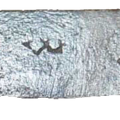 Blade/part blade