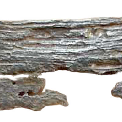 Whittle tang blade