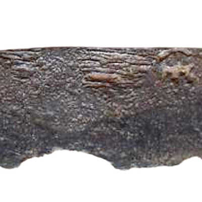 Whittle tang blade