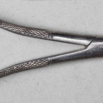 Surgical forceps, dental