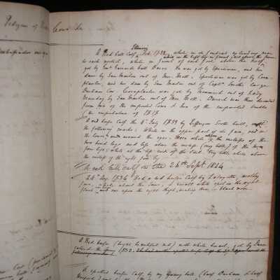 cattle pedigrees