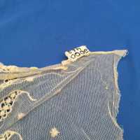          Collar picture number 5
   