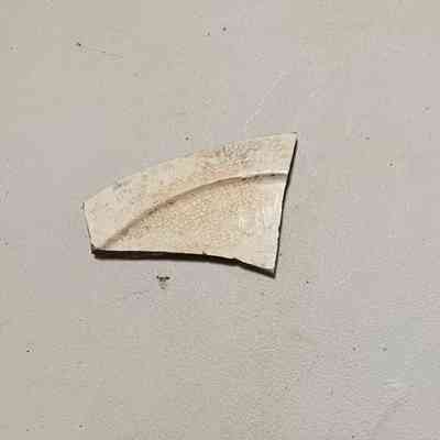 ceramic sherd