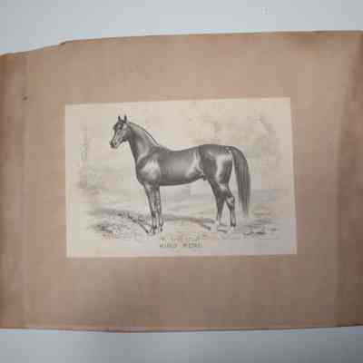 Lithograph
