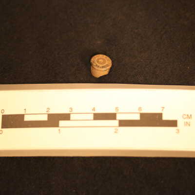 Shell, Shotgun