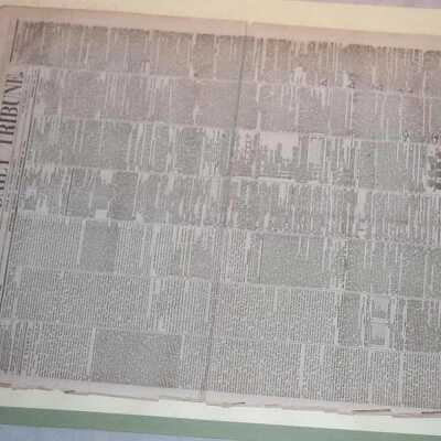 New York Daily Tribune