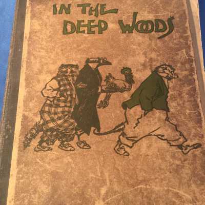 In The Deep Woods
