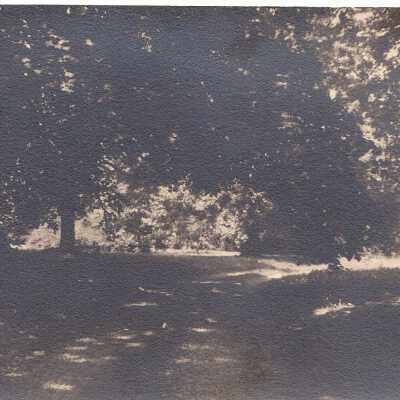 Ambrotype