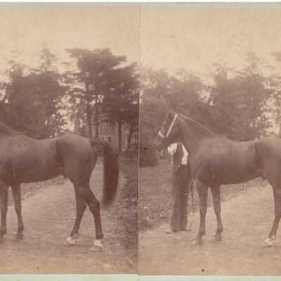 Photograph