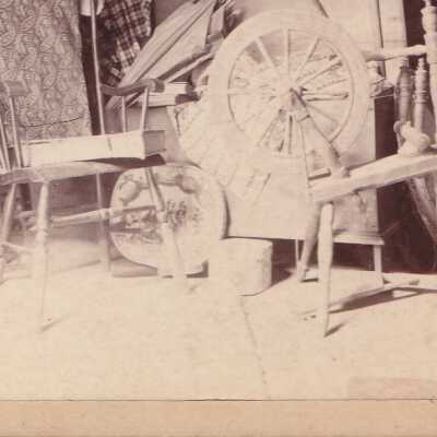 Photograph