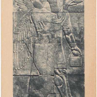 Postcard