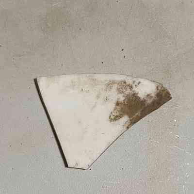 porcelain shard